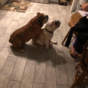 Meet your Posher, Manny